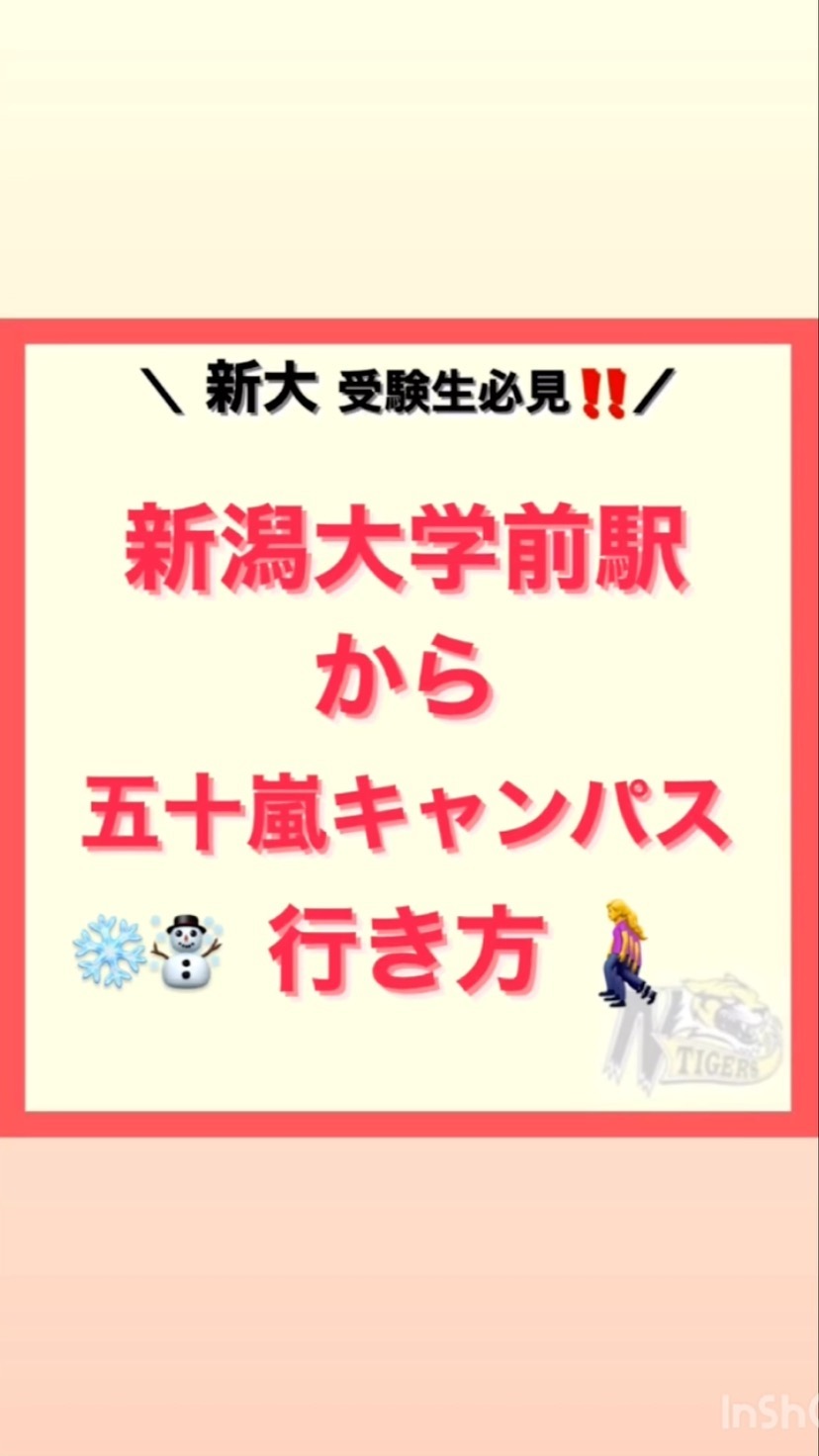 【新潟駅から新潟大学五十嵐キャンパスまでの行き方】　

新潟大学駅から五十嵐キャンパスまでの道のりを歩いてご紹介?

道のりをしっかり確認して本番は暖かい格好で行きましょう‍♀️

がんばれ受験生